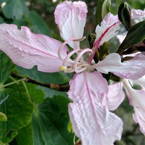 Meet your Posher, Peggy